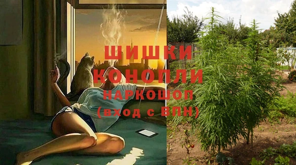apvp Зеленокумск
